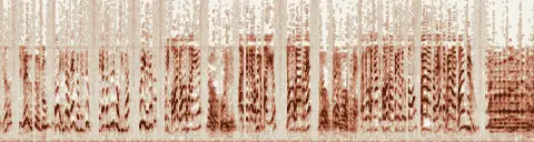 この録音の 21秒 から 51秒 までの周波数の濃淡