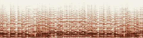 この録音の 13秒 から 43秒 までの周波数の濃淡
