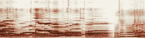 この録音の 20秒 から 50秒 までの周波数の濃淡