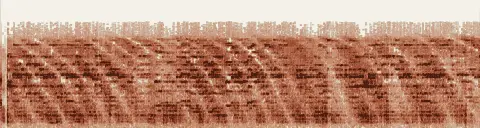 この録音の 5秒 から 35秒 までの周波数の濃淡